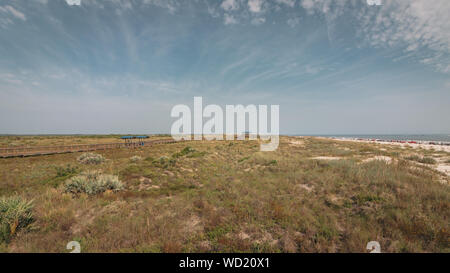 New Smyrna Dunes Park. Un parc composé de conserves de dunes de sable, de passerelles surélevées et entourée d'eau sur trois côtés. Banque D'Images