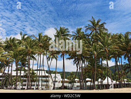 Palm Cove beach resort hôtels, restaurants, palmiers, peinte en bleu ciel. Banque D'Images