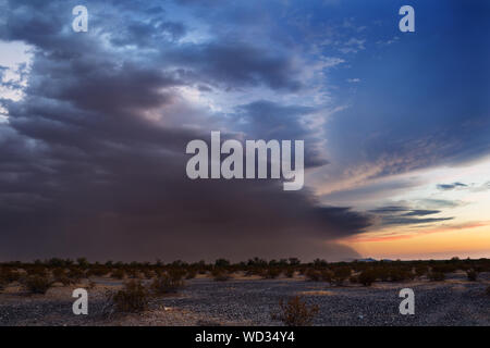 Vue panoramique du désert de Sonora contre ciel nuageux pendant le coucher du soleil