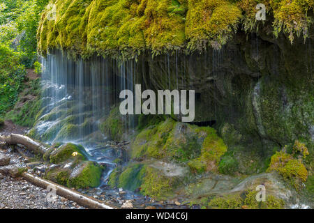 Couverts de mousse gorge Wutachschlucht cascade, Forêt-Noire, Bade-Wurtemberg, Allemagne, Banque D'Images