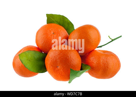 Des mandarines mandarine ou orange avec des feuilles vertes sur fond blanc isolated close up Banque D'Images