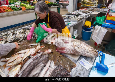 Argyrosomus regius, également connu sous le nom de maigres, croaker, jewfish, ombre-poisson, corvina en vente sur le marché des aliments de Livramento ville de Setubal, Portugal Banque D'Images