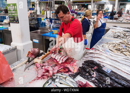 Argyrosomus regius, également connu sous le nom de maigres, croaker, jewfish, ombre-poisson, corvina en vente sur le marché des aliments de Livramento ville de Setubal, Portugal Banque D'Images
