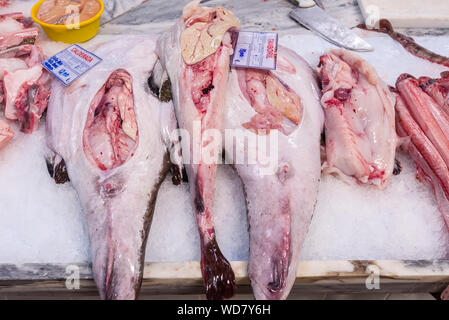 Lotte à la vente sur le marché des aliments de Livramento ville de Setubal, Portugal Banque D'Images