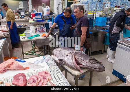 Argyrosomus regius, également connu sous le nom de maigres, croaker, jewfish, ombre-poisson, corvina en vente sur le marché des aliments de Livramento ville de Setubal, Portugal Banque D'Images