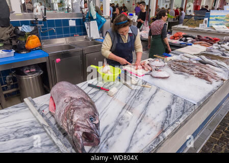 Argyrosomus regius, également connu sous le nom de maigres, croaker, jewfish, ombre-poisson, corvina en vente sur le marché des aliments de Livramento ville de Setubal, Portugal Banque D'Images