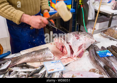 Argyrosomus regius, également connu sous le nom de maigres, croaker, jewfish, ombre-poisson, corvina en vente sur le marché des aliments de Livramento ville de Setubal, Portugal Banque D'Images