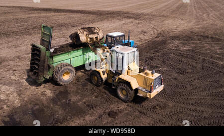 Drague avec un peu de fumier remorque chargement pour le champ de la fécondation. Machine agricole pour la fertilisation. La bouse de vache Banque D'Images