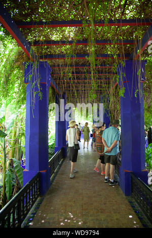 Pergola couverte de plantes au Jardin Majorelle à Marrakech, Maroc Banque D'Images