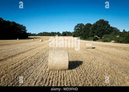 Harvest time round bottes de foin dans un champ Hampshire Banque D'Images