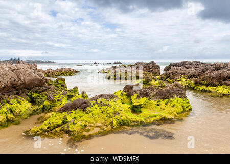 Plage Trengandin, village près de Noja Cantabria, ESPAGNE Banque D'Images