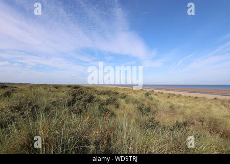 Holmes Dunes Beach sur une journée ensoleillée, avec un ciel bleu et des rives. Banque D'Images