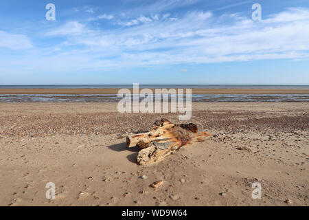 Holmes Dunes Beach sur une journée ensoleillée, avec un ciel bleu et des rives. Banque D'Images