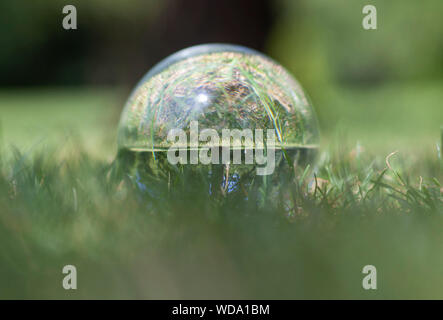 Crystal Ball photo de l'herbe et un arbre Banque D'Images