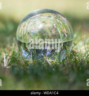 Crystal Ball photo de l'herbe et un arbre Banque D'Images