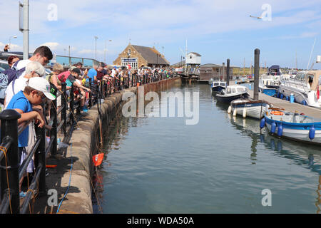 Wells-next-the-Sea en crabe à l'Harbour sur une journée ensoleillée, North Norfolk, Angleterre Banque D'Images