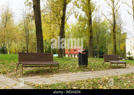 Banc dans un parc parsemé d'automne feuillage jaune Banque D'Images
