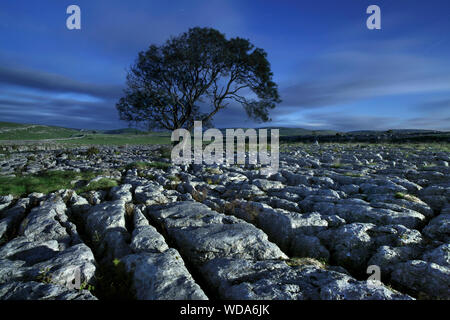 Un lapiez photographié dans la nuit par la lumière de la pleine lune, près de Malham,Yorkshire Dales National Park. Banque D'Images