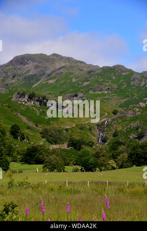 Wainwright Le Tarn et la chute d'Sourmilk Crag Gill de Easedale Près de Grasmere dans le Parc National du Lake District, Cumbria, England, UK. Banque D'Images