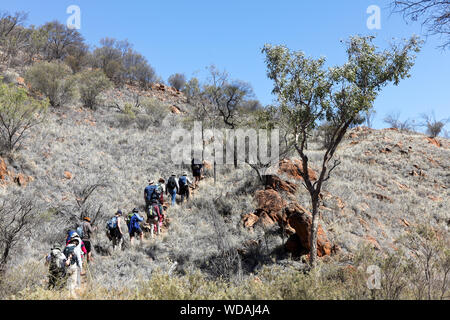 Groupe de trekkeurs, Euro Ridge, Larapinta Trail, West McDonnell Ranges, Territoire du Nord, Australie Banque D'Images
