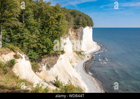 Falaises de craie sur l'île de Rugen (Rugia). La côte de la mer Baltique allemande - UNESCO World Heritage. Banque D'Images