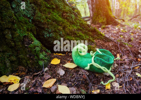 Créature féerique ou elf dwarf laissera ses chaussures près de l'entrée de sa maison dans un vieux arbre couvert de mousse Banque D'Images