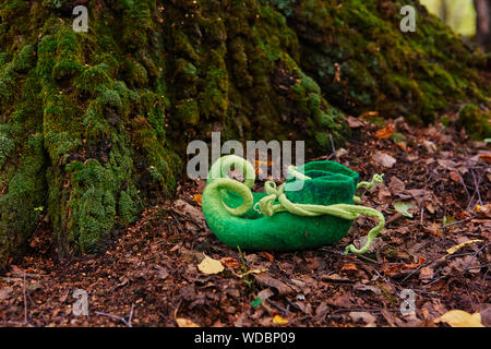 Créature féerique ou elf dwarf laissera ses chaussures près de l'entrée de sa maison dans un vieux arbre couvert de mousse Banque D'Images