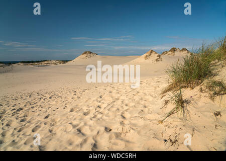 Wanderdünen Slowinzischer sable, Nationalpark, Pommern, Polen, Europa | Déménagement dunes de sable, le Parc National Slowinski, Poméranie, Pologne, Europe Banque D'Images