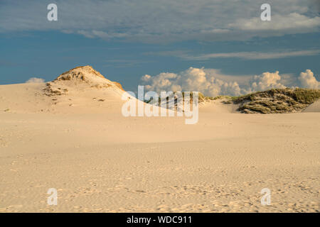 Wanderdünen Slowinzischer sable, Nationalpark, Pommern, Polen, Europa | Déménagement dunes de sable, le Parc National Slowinski, Poméranie, Pologne, Europe Banque D'Images