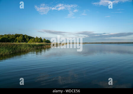 Strandsee Lebsko / Lebasee, Slowinzischer Nationalpark, Pommern, Polen, Europa | le lac Lebsko côtières, Parc National Slowinski, Poméranie, Pologne, E Banque D'Images