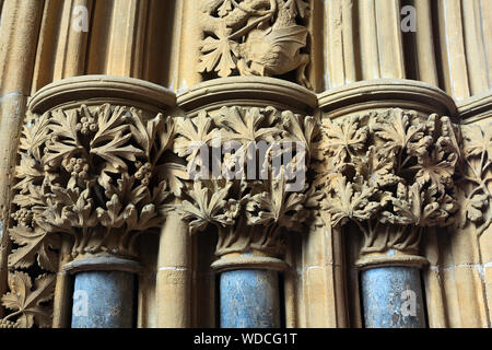 Détail de 13e siècle stone foliée capitales de la salle capitulaire de Southwell Minster, Nottinghamshire Banque D'Images