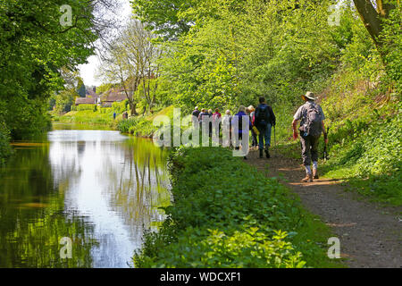 Un groupe de personnes âgées les marcheurs ou Randonneurs marchant le long d'un canal de halage sur le Macclesfield branche de la Trent et Mersey Canal Cheshire England UK Banque D'Images