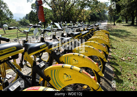 Taiping, Malaisie - 22 Jun, 2018 : service de partage de vélos de location à à basse vitesse à travers le lac Taiping Taiping, le jardin, la Malaisie - un trajet occasionnel Banque D'Images