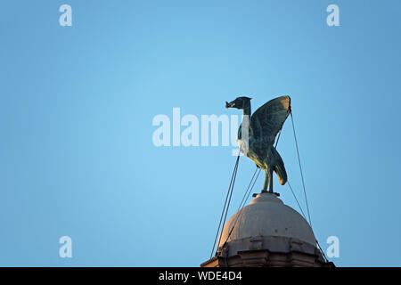 Extreme close up de l'oiseau du foie sur le dessus du foie Bâtiments sur Liverpool waterfront Banque D'Images