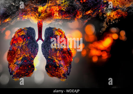 L'arbre vert en forme de poumon-images, des concepts médicaux, l'autopsie, affichage 3D et les animaux comme un élément Banque D'Images