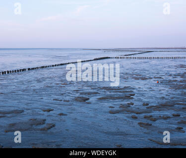 La mer des Wadden ou wadd pendant le coucher du soleil vu de la jetée du ferry ameland Banque D'Images