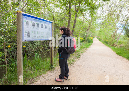 Randonnée pédestre dans le parc naturel des Aiguamolls de l'Emporda, Gérone, Espagne Banque D'Images