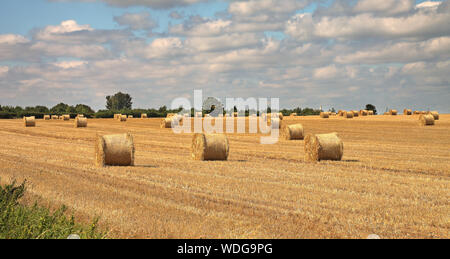 Un paysage rural circulaire avec des bottes de foin dans un champ Banque D'Images