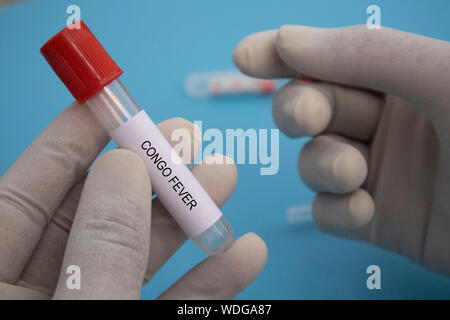 Concept de tube à essai de laboratoire de la fièvre hémorragique de Crimée et du Congo ou de Crimée-congo dans les mains. Banque D'Images