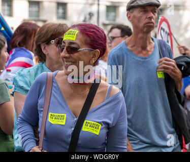 Londres, Royaume-Uni. Août 29, 2019. Manifestants Anti Brexit dans Whitehall London UK Crédit : Ian Davidson/Alamy Live News Banque D'Images