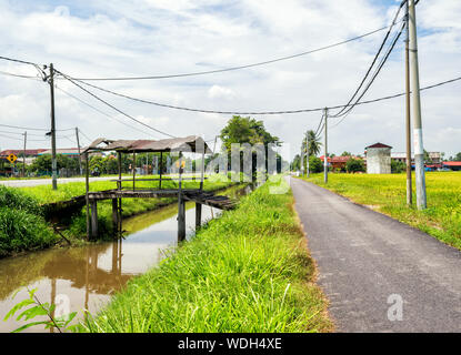 Wan historique du canal de l'eau Saman Mat qui alimente en eau des rizières de riz au petit matin à Kedah, Malaisie. Banque D'Images