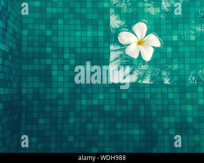 Beau jardin, pavillons et le lac. Situé à Putrajaya, Malaisie. Beauty World. Banque D'Images