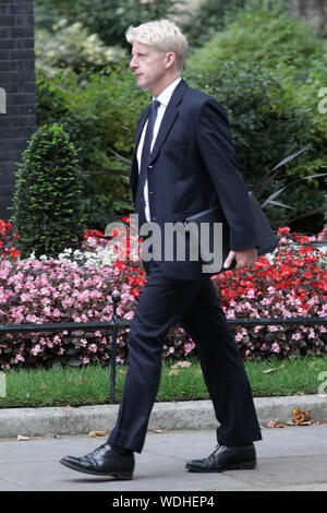 Westminster, London, UK. Août 29, 2019. Jo Johnson, Ministre des universités et de la science et de PM, le frère de Boris Johnson entre dans No 10 Downing Street ce soir. Credit : Imageplotter/Alamy Live News Banque D'Images