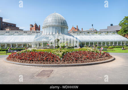 La Palm House, jardins botaniques, Belfast Banque D'Images