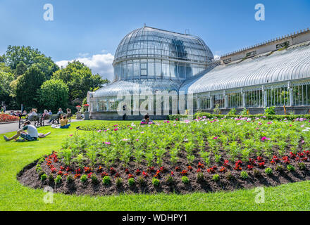 La Palm House, jardins botaniques, Belfast Banque D'Images