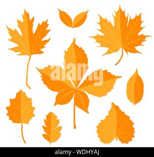 Feuilles d'automne sur fond blanc vector Illustration de Vecteur