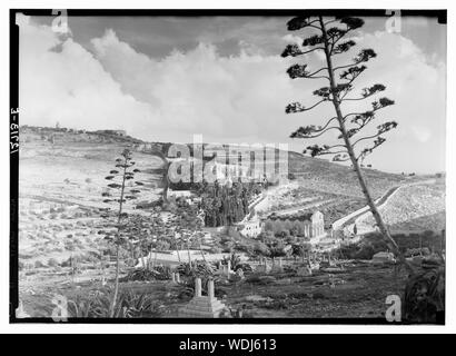 Gethsémani & Olivet avec en premier plan les plantes siècle Abstract/medium : G. Eric et Edith Matson Photograph Collection Banque D'Images