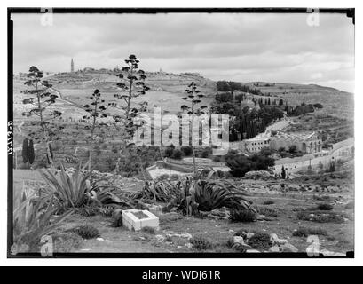 Gethsémani & Olivet avec en premier plan les plantes siècle Abstract/medium : G. Eric et Edith Matson Photograph Collection Banque D'Images