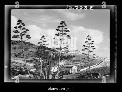 Gethsémani Abstract/medium : G. Eric et Edith Matson Photograph Collection Banque D'Images