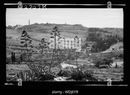 Gethsémani Abstract/medium : G. Eric et Edith Matson Photograph Collection Banque D'Images
